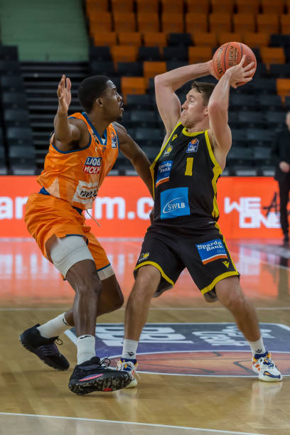 面对残阵鹈 面对残阵鹈